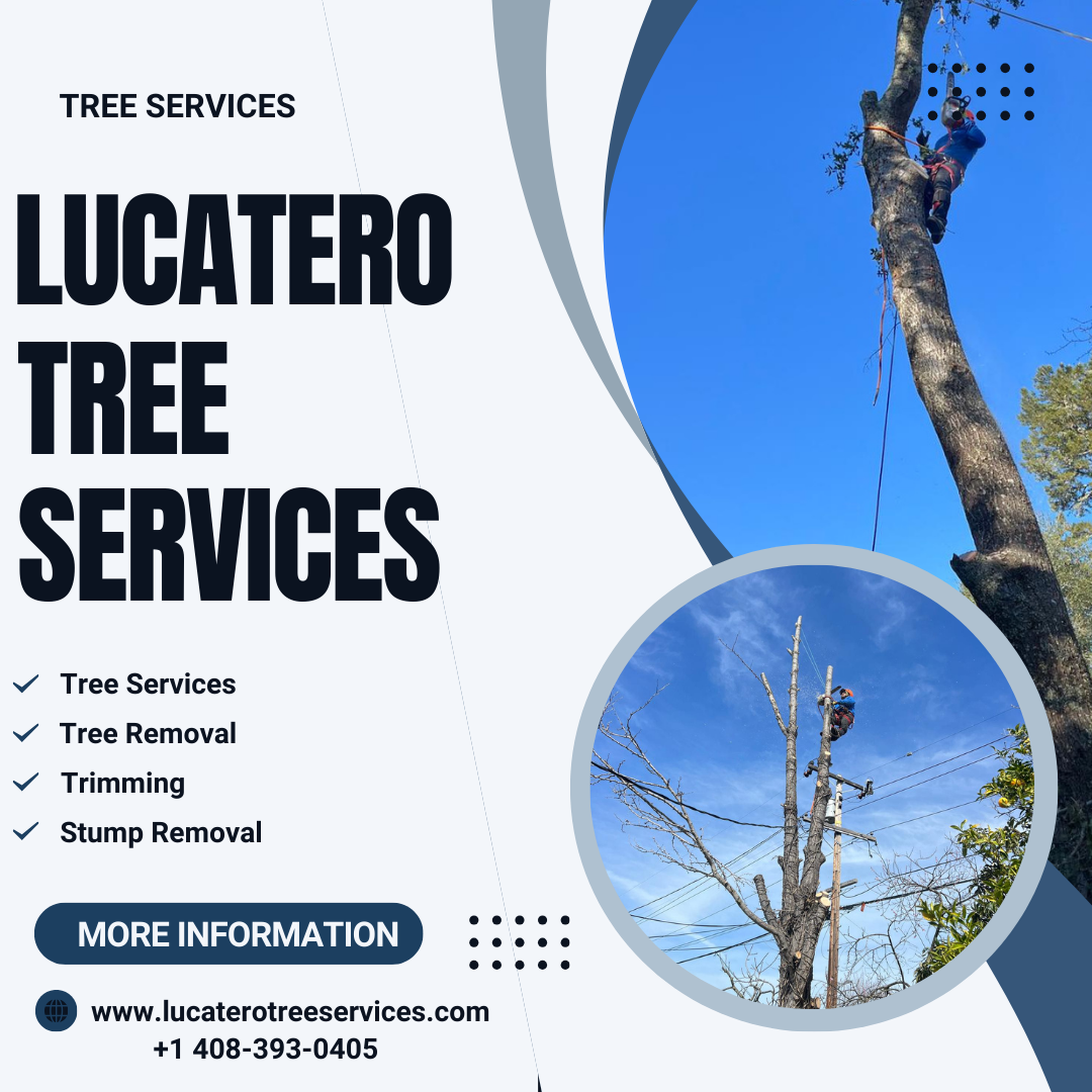 Lucatero Tree Services Image